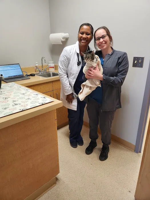 Hollin Hall Animal Hospital Picture 6