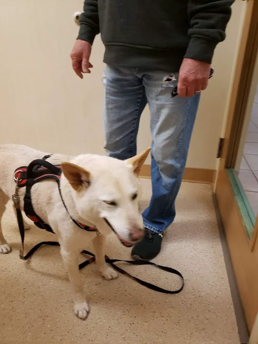 Hollin Hall Animal Hospital Picture 10
