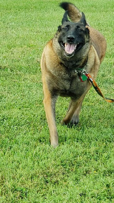 Fort Hunt Animal Hospital Picture 8