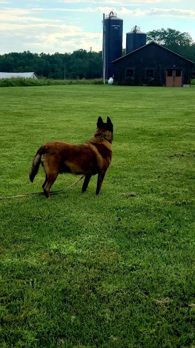 Fort Hunt Animal Hospital Picture 6