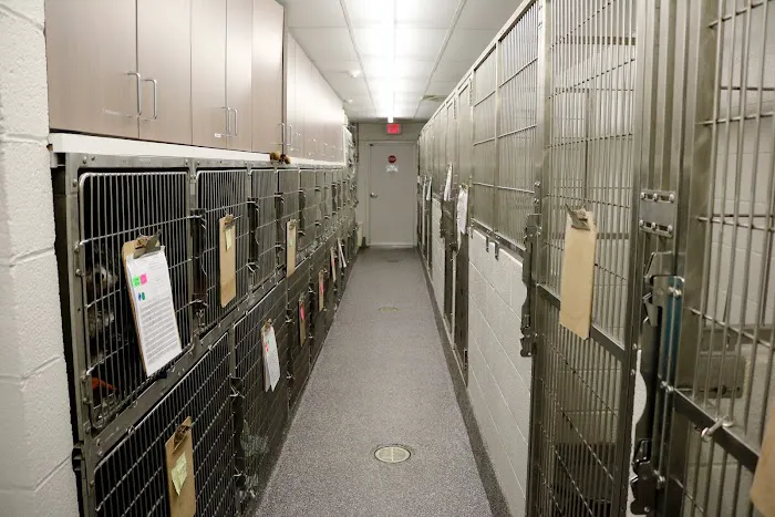 Fort Hunt Animal Hospital Picture 2
