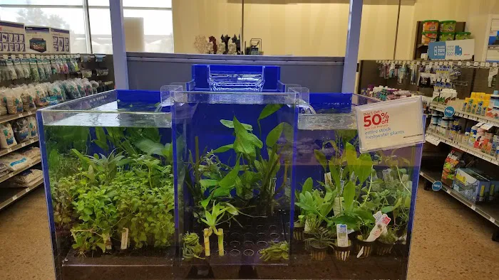 Petco Picture 1