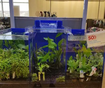 Petco