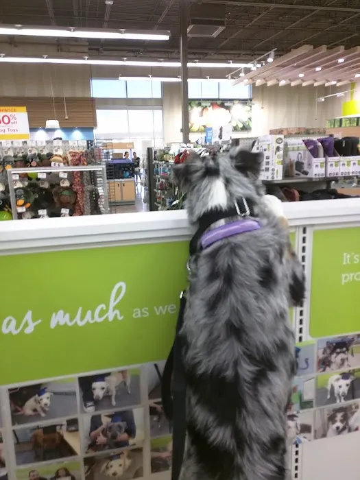 Petco Picture 5