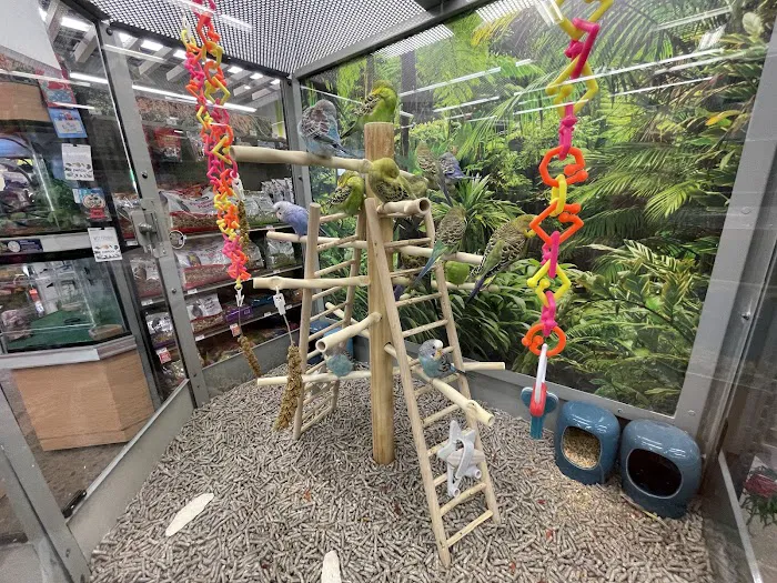Petco Picture 10