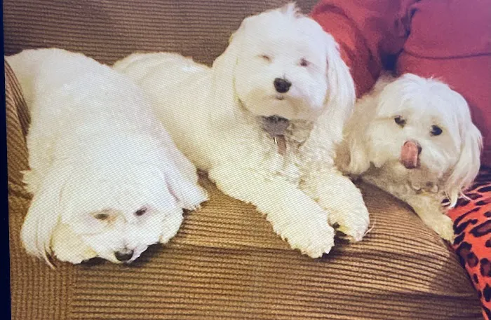 Banfield Pet Hospital Picture 6
