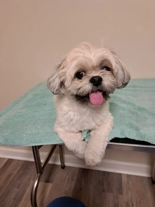 Banfield Pet Hospital Picture 8