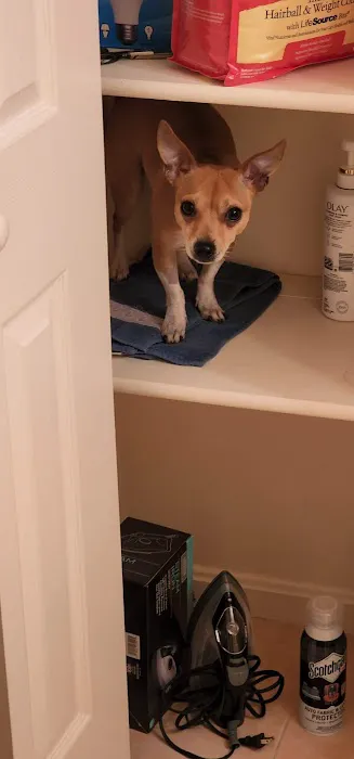 Banfield Pet Hospital Picture 4