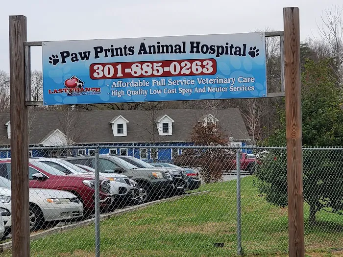 Paw Prints Animal Hospital Picture 3