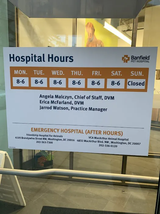 Banfield Pet Hospital Picture 3