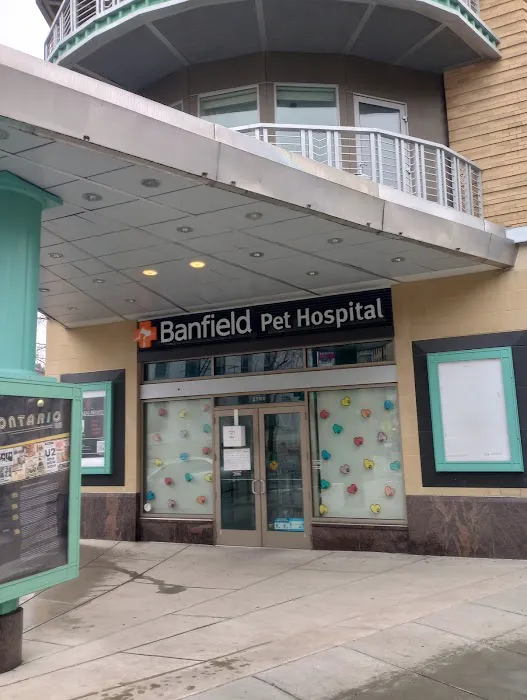 Banfield Pet Hospital Picture 5