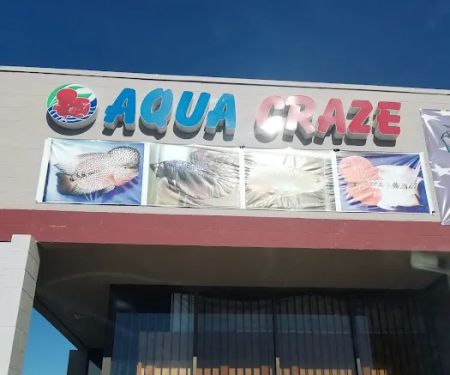 916 Aquatics