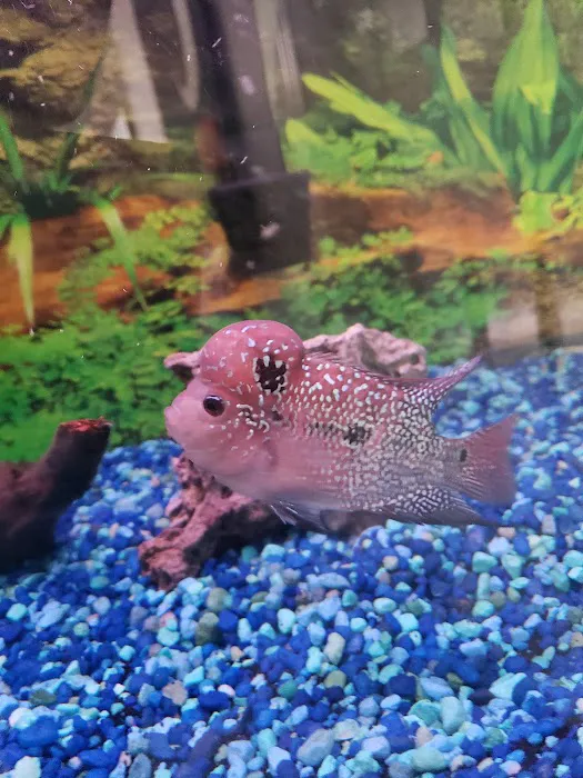 916 Aquatics Picture 2