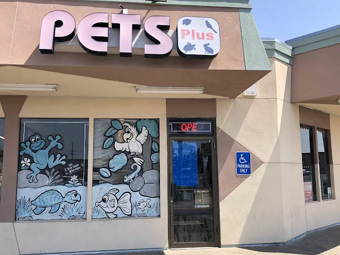 Pets Plus Picture 2