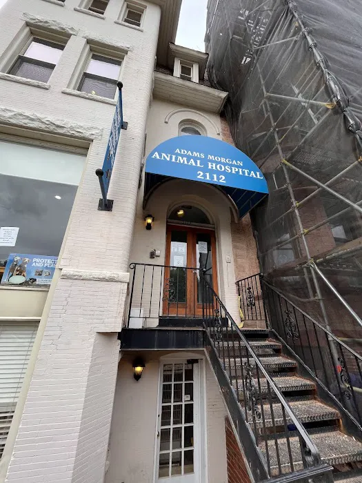 Adams Morgan Animal Hospital Picture 5