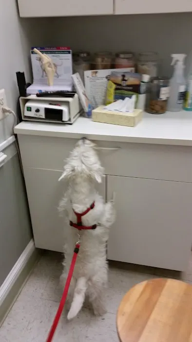 Adams Morgan Animal Hospital Picture 8