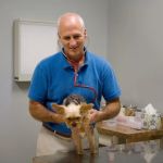 Sayre Veterinary Acupuncture