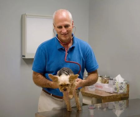 Sayre Veterinary Acupuncture