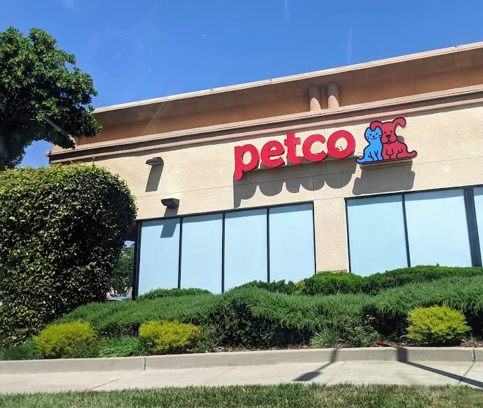 Petco Picture 7