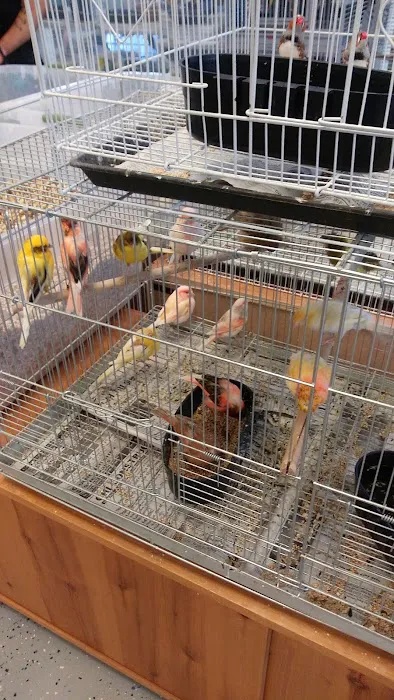 Finest Exotic Birds Picture 3
