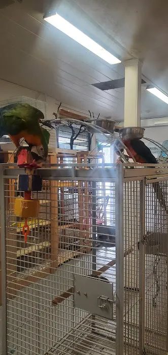 Finest Exotic Birds Picture 10