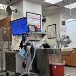Veterinary Emergency Group