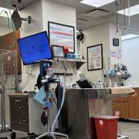 Veterinary Emergency Group ico