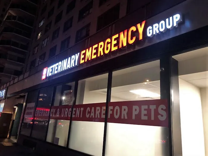 Veterinary Emergency Group Picture 3
