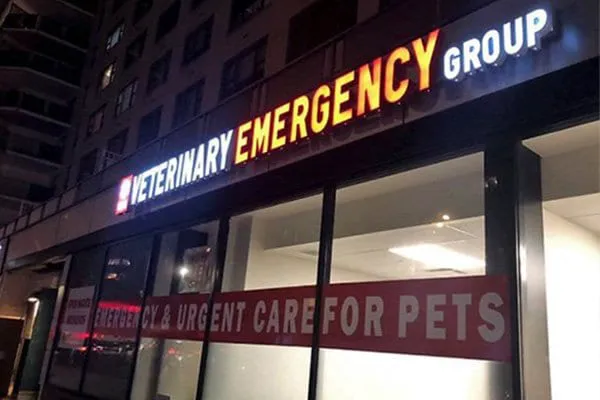 Veterinary Emergency Group Picture 4