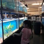 Central Pet
