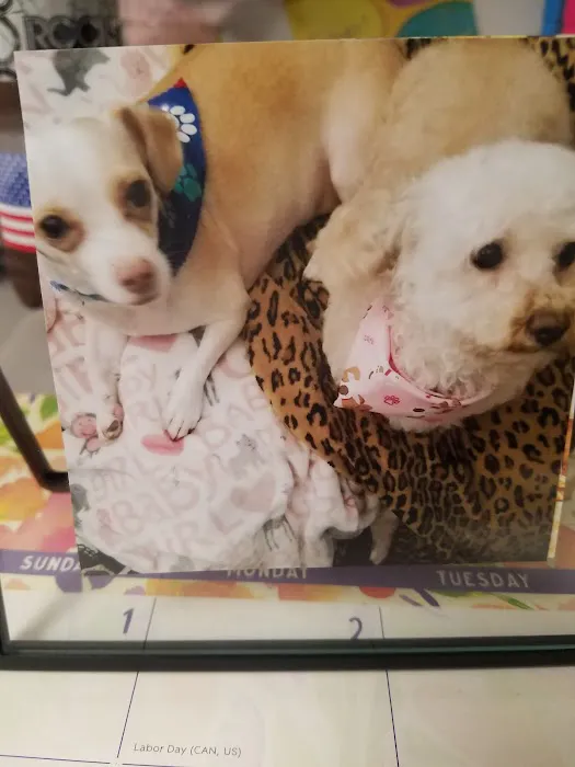 Central Pet Picture 9