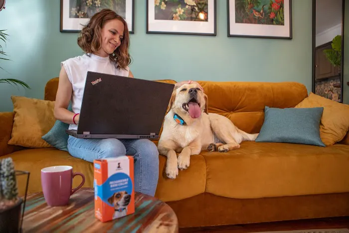 SparklyPets - Online Pet Store Picture 1