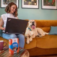 SparklyPets - Online Pet Store ico