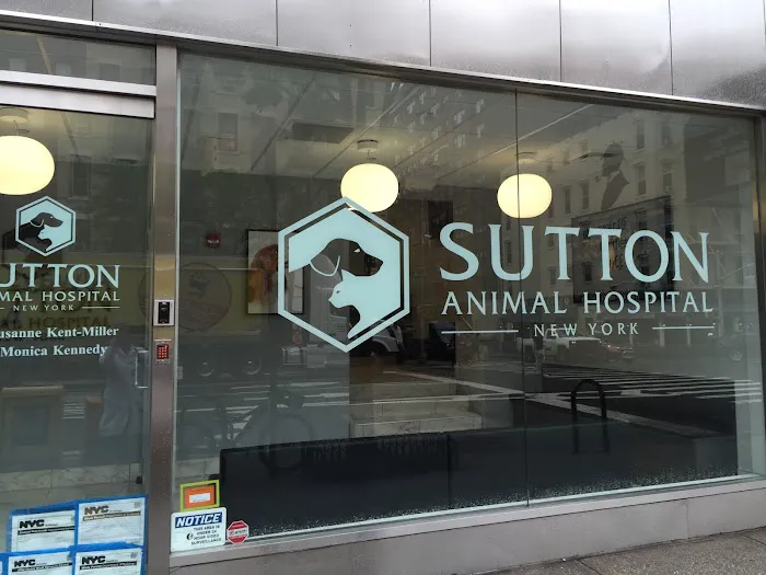 Sutton Animal Hospital Picture 1