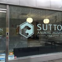 Sutton Animal Hospital ico
