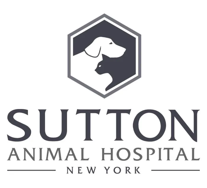 Sutton Animal Hospital Picture 6