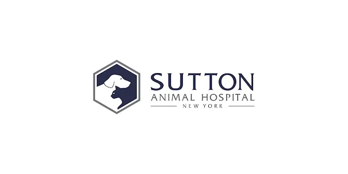 Sutton Animal Hospital Picture 5
