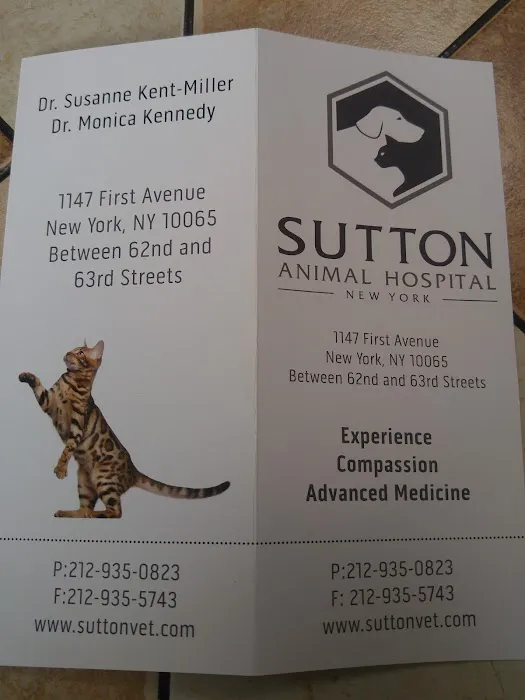 Sutton Animal Hospital Picture 8