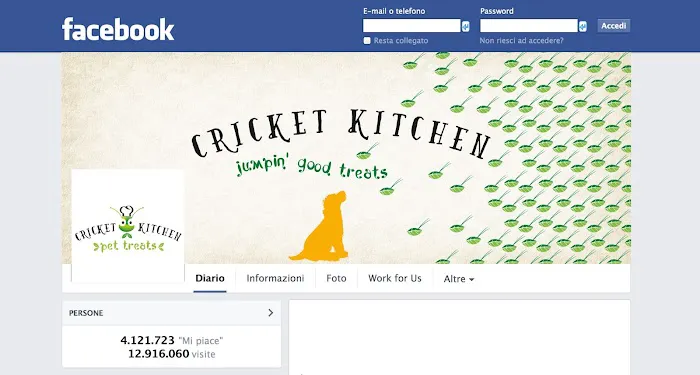 Cricket Kitchen Picture 5