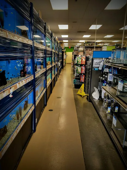 Petco Picture 5