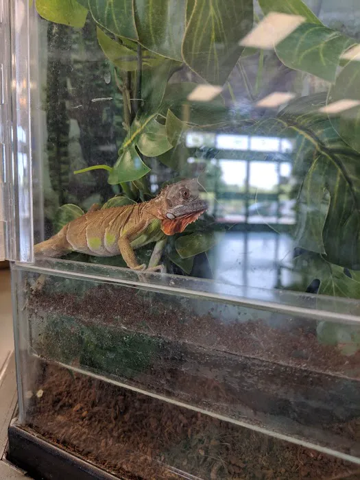 Petco Picture 8