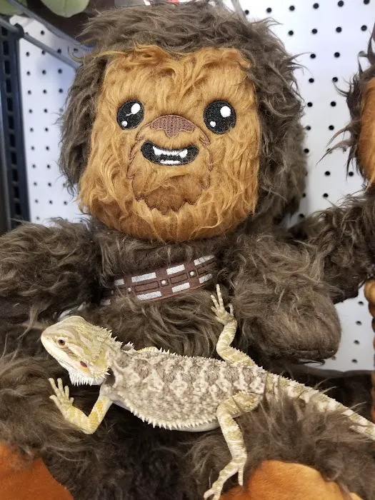 Petco Picture 6