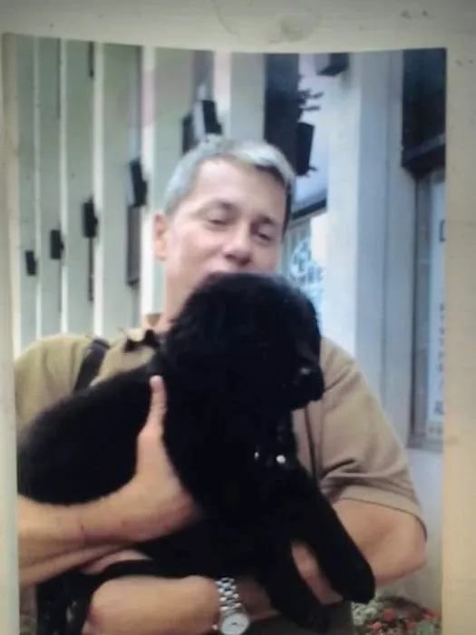 VCA Park East Animal Hospital Picture 4