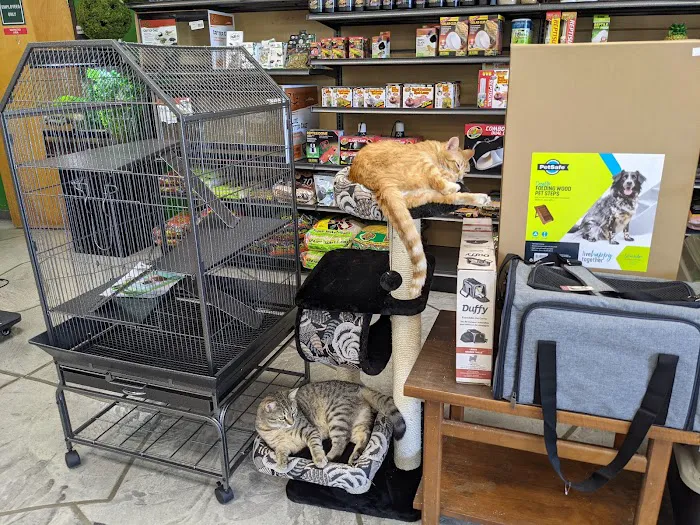 Pets To Go Picture 6