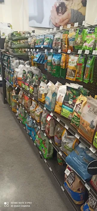 Petco Picture 1