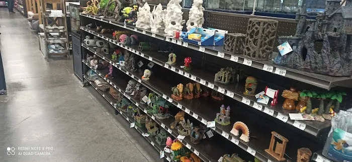 Petco Picture 6