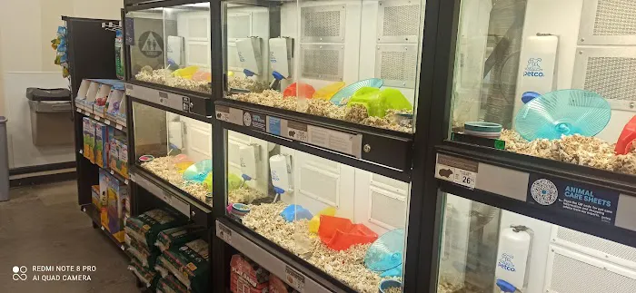 Petco Picture 5