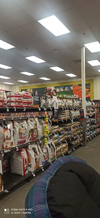 Petco Picture 4