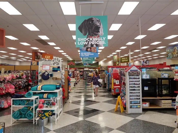 Petco Picture 8