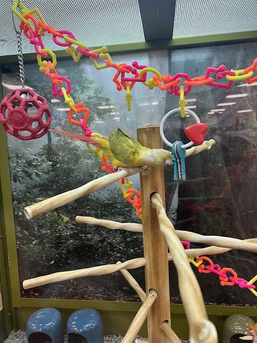 Petco Picture 7